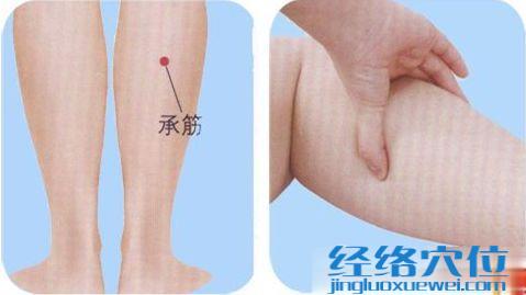 承筋穴位位置圖