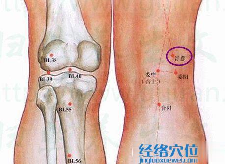 浮郄穴的準(zhǔn)確位置圖