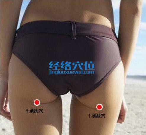 承扶穴的位置圖