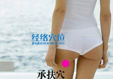 承扶穴位位置圖