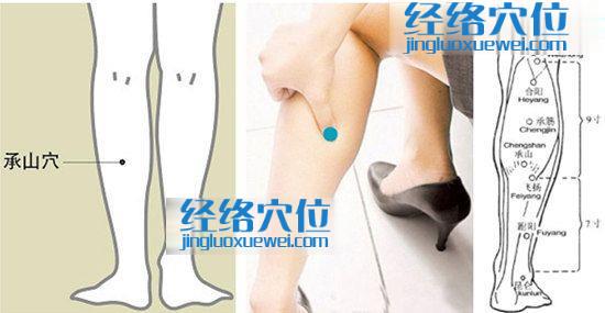 承山穴的位置圖（高清）