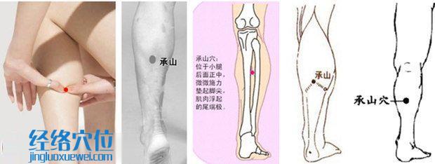 承山穴位位置圖