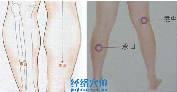 承山穴的位置圖