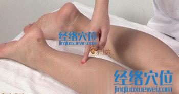 承山穴的準(zhǔn)確位置圖