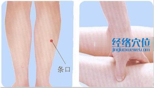 圖解按摩條口穴的手法