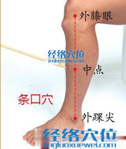 條口穴位位置圖