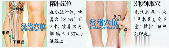 下巨虛穴的位置及取穴方法