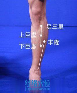 下巨虛穴位位置圖