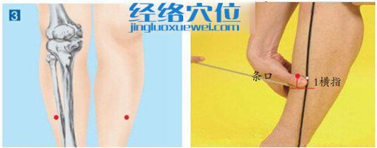 下巨虛穴位位置圖