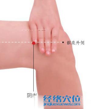 陰市穴位位置圖