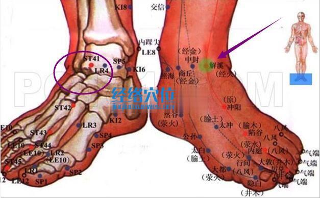 解溪穴的準(zhǔn)確位置圖