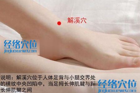 解溪穴的位置圖