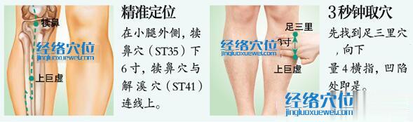 上巨虛穴的準(zhǔn)確位置圖及取穴方法