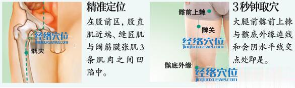 髀關(guān)穴的準(zhǔn)確位置圖及取穴方法示范