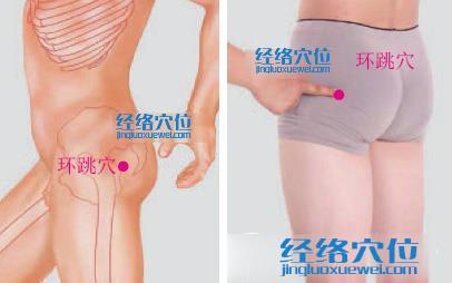 環(huán)跳穴位位置圖