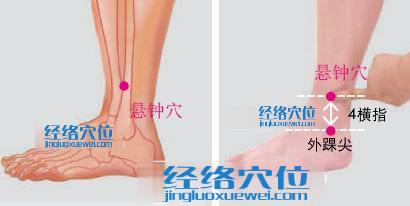 懸鐘穴位位置圖