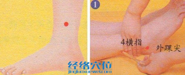 懸鐘穴位位置圖