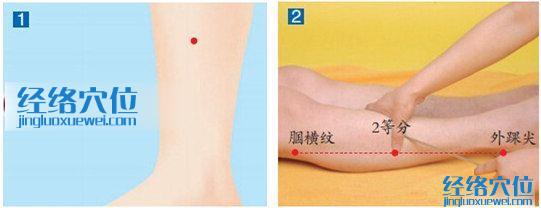 外丘穴位位置圖