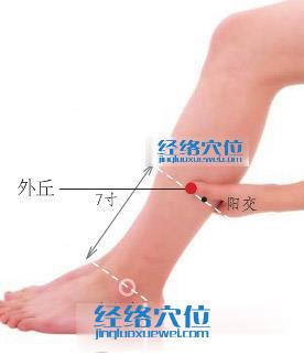 外丘穴位位置圖