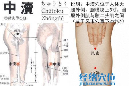 中瀆穴的位置圖