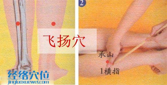 飛揚穴位位置圖