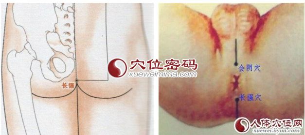 長強(qiáng)穴的準(zhǔn)確位置圖