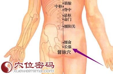 長強(qiáng)穴位圖