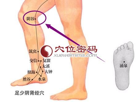陰谷穴位圖