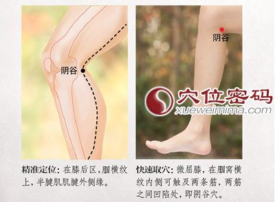 陰谷穴位圖