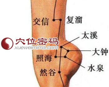 復(fù)溜穴、交信穴等位置圖