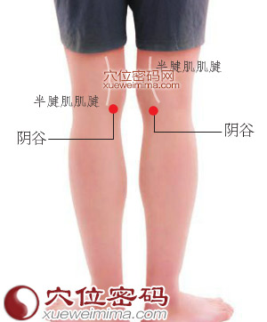 陰谷穴位位置圖
