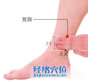 復(fù)溜穴位位置圖