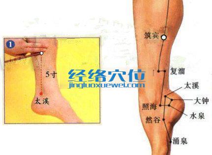 筑賓穴的準(zhǔn)確位置圖