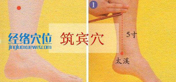 筑賓穴的準(zhǔn)確位置圖