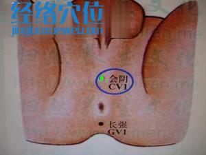 會陰穴位位置圖