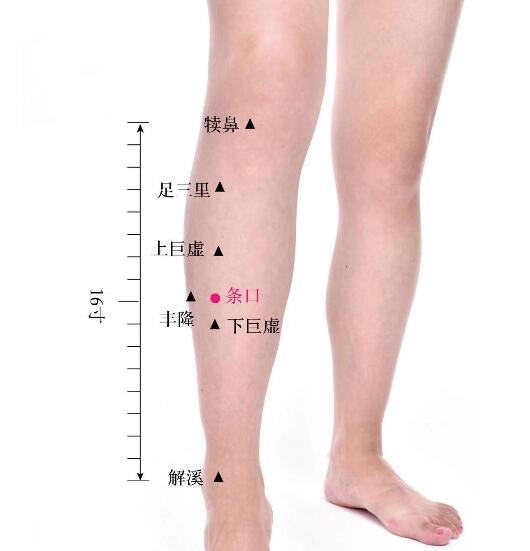 條口的準確位置圖及功效視頻位位置圖