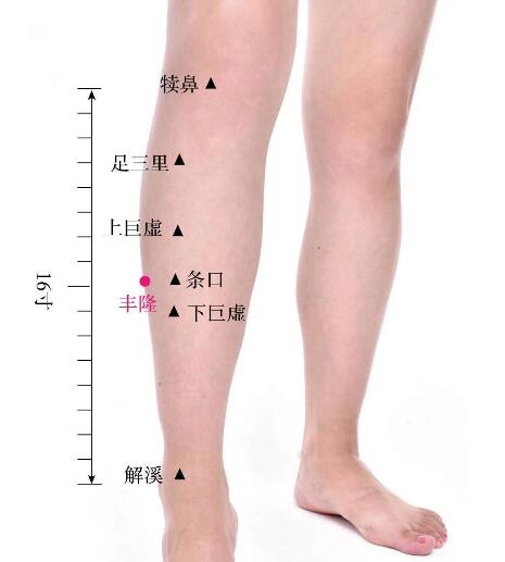 豐隆的準(zhǔn)確位置圖及功效視頻位位置圖