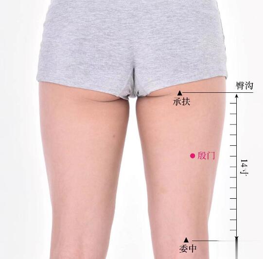 殷門(mén)的準(zhǔn)確位置圖及功效視頻位位置圖