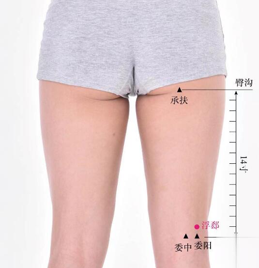 浮郄的準(zhǔn)確位置圖及功效視頻位位置圖