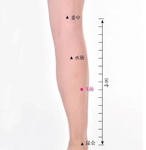 飛揚(yáng)的準(zhǔn)確位置圖及功效視頻位位置圖
