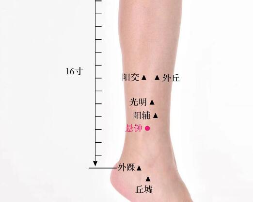 懸鐘的準確位置圖及功效視頻位位置圖
