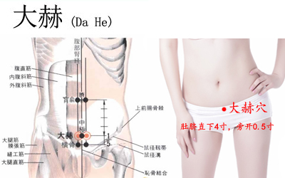大赫穴位位置圖