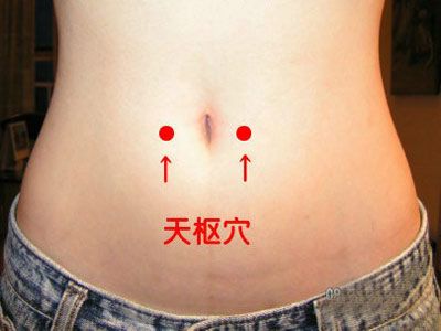 天樞穴位位置圖