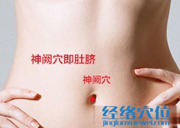 神闕穴位位置圖