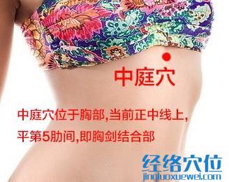 中庭穴位位置圖