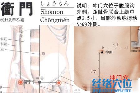 沖門穴位位置圖