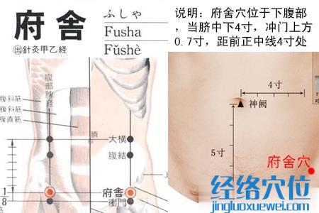 府舍穴位位置圖