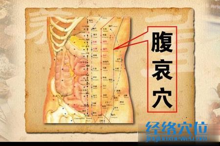 腹哀穴位位置圖