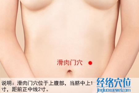 滑肉門(mén)穴位位置圖