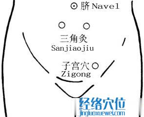 子宮穴位位置圖